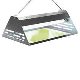 ELETROCUTORES DE INSECTO